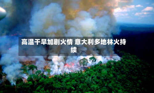 高温干旱加剧火情 意大利多地林火持续-第2张图片