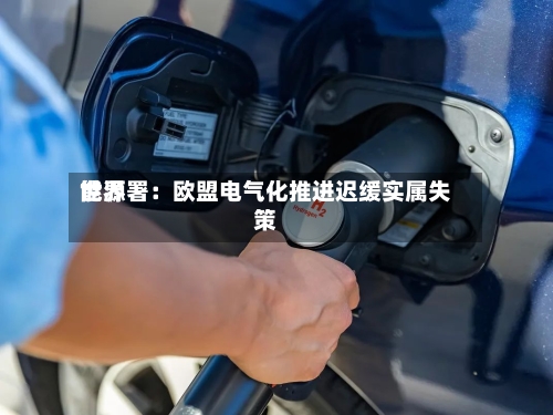 世界能源署：欧盟电气化推进迟缓实属失策-第3张图片