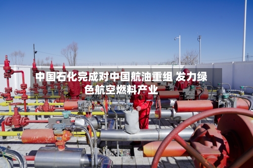 中国石化完成对中国航油重组 发力绿色航空燃料产业-第2张图片