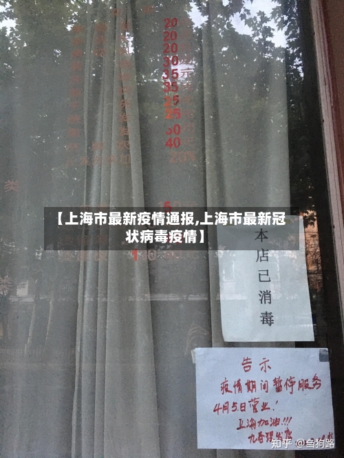 【上海市最新疫情通报,上海市最新冠状病毒疫情】-第2张图片