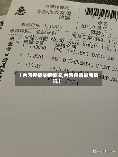 【台湾疫情最新情况,台湾疫情最新情况】-第2张图片