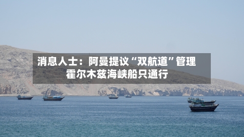 消息人士：阿曼提议“双航道”管理霍尔木兹海峡船只通行