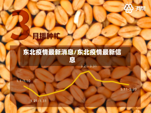 东北疫情最新消息/东北疫情最新信息-第3张图片