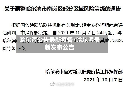 哈尔滨公告最新疫情/哈尔滨最新发布公告-第2张图片
