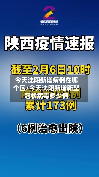 今天沈阳新增病例在哪个区/今天沈阳新增新型冠状病毒多少例