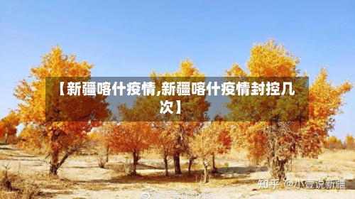 【新疆喀什疫情,新疆喀什疫情封控几次】