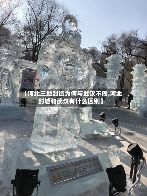 【河北三地封城为何与武汉不同,河北封城和武汉有什么区别】-第2张图片