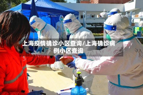 上海疫情确诊小区查询/上海确诊病例小区查询-第2张图片