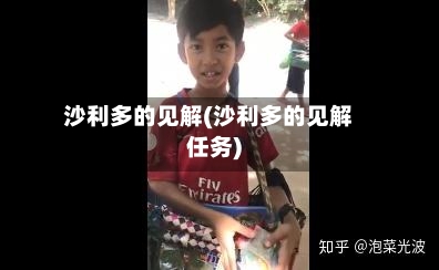 沙利多的见解(沙利多的见解任务)-第3张图片