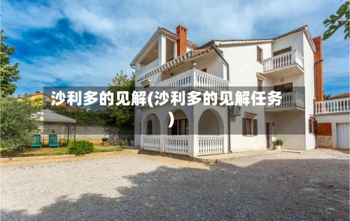 沙利多的见解(沙利多的见解任务)