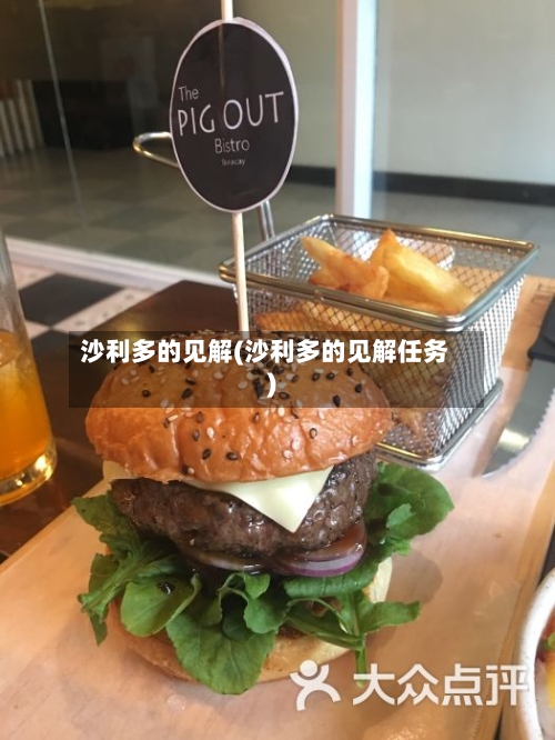沙利多的见解(沙利多的见解任务)-第2张图片