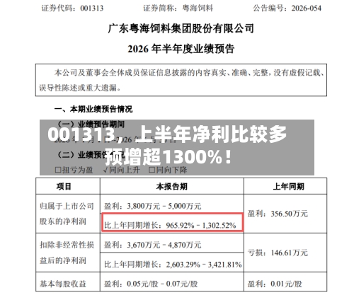 001313，上半年净利比较多预增超1300%！