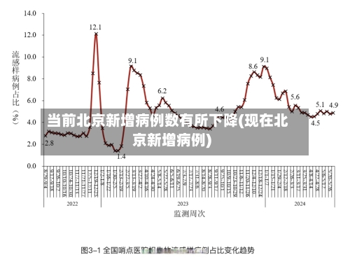当前北京新增病例数有所下降(现在北京新增病例)