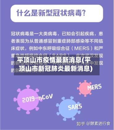 平顶山市疫情最新消息(平顶山市新冠肺炎最新消息)-第2张图片