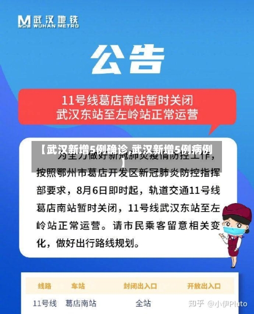 【武汉新增5例确诊,武汉新增5例病例】-第2张图片