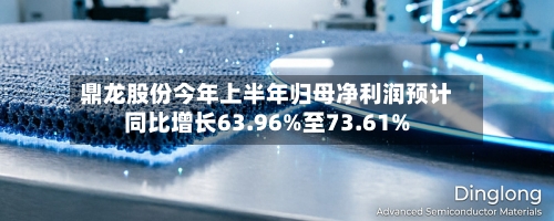 鼎龙股份今年上半年归母净利润预计同比增长63.96%至73.61%-第2张图片