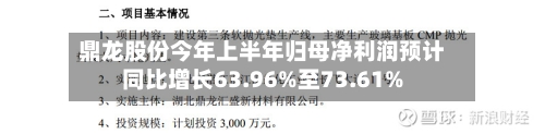 鼎龙股份今年上半年归母净利润预计同比增长63.96%至73.61%