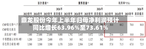 鼎龙股份今年上半年归母净利润预计同比增长63.96%至73.61%-第3张图片