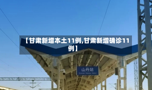 【甘肃新增本土11例,甘肃新增确诊11例】-第2张图片