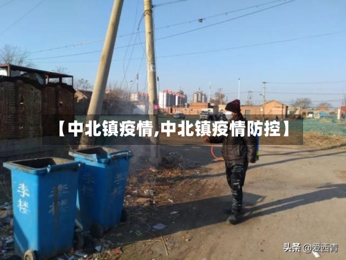 【中北镇疫情,中北镇疫情防控】-第2张图片