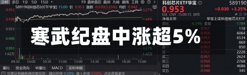 寒武纪盘中涨超5%