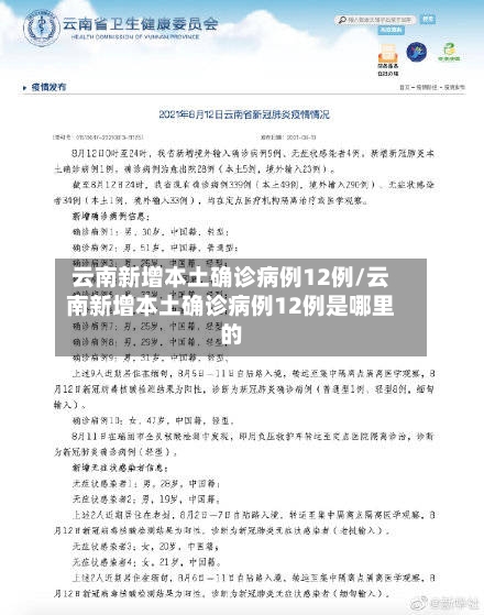 云南新增本土确诊病例12例/云南新增本土确诊病例12例是哪里的-第3张图片