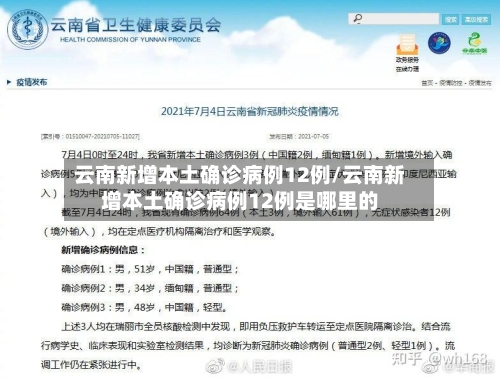 云南新增本土确诊病例12例/云南新增本土确诊病例12例是哪里的