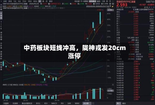中药板块短线冲高，陇神戎发20cm涨停