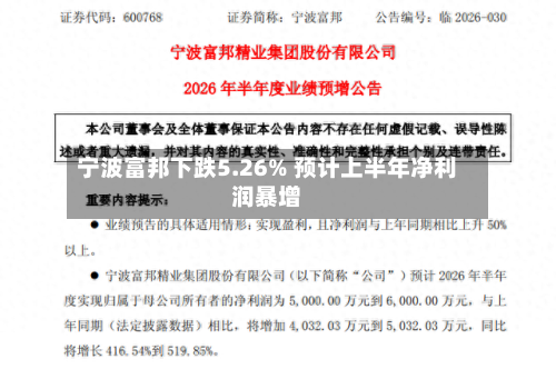 宁波富邦下跌5.26% 预计上半年净利润暴增-第3张图片
