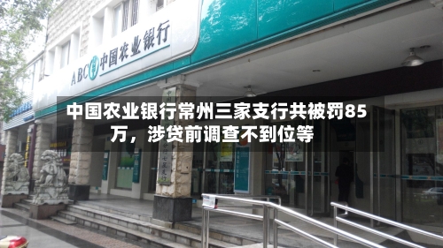 中国农业银行常州三家支行共被罚85万，涉贷前调查不到位等
