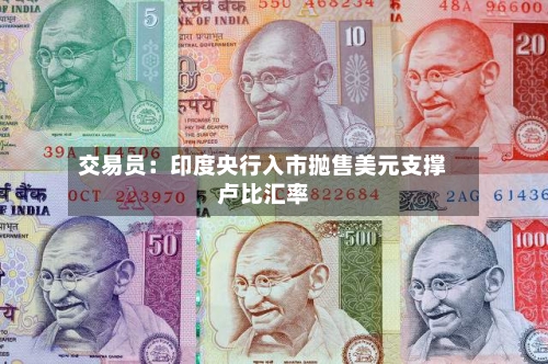 交易员：印度央行入市抛售美元支撑卢比汇率
