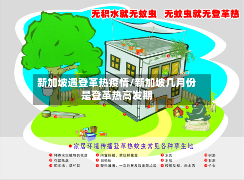新加坡遇登革热疫情/新加坡几月份是登革热高发期-第2张图片