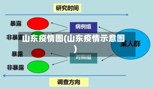 山东疫情图(山东疫情示意图)