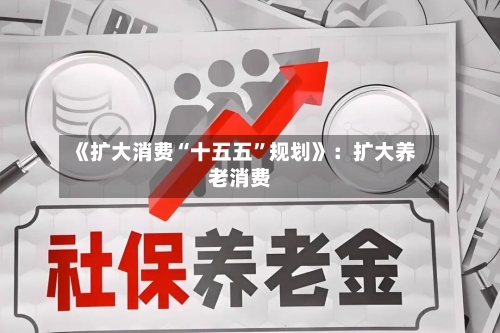 《扩大消费“十五五”规划》：扩大养老消费-第2张图片