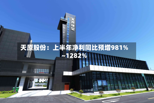 天原股份：上半年净利同比预增981%~1282%