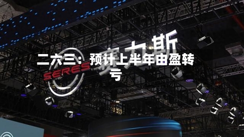 二六三：预计上半年由盈转亏
