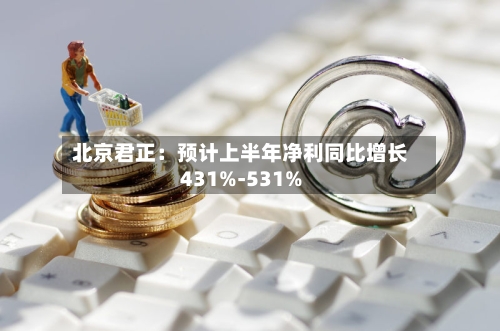 北京君正：预计上半年净利同比增长431%-531%