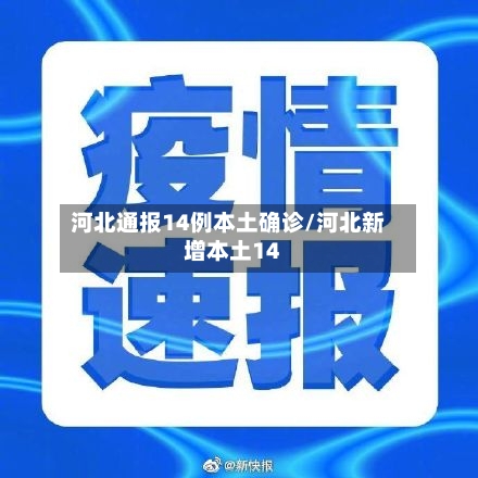 河北通报14例本土确诊/河北新增本土14