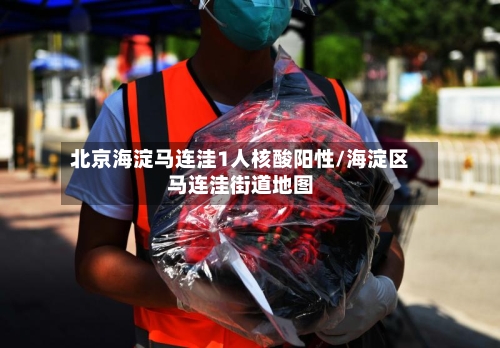 北京海淀马连洼1人核酸阳性/海淀区马连洼街道地图-第2张图片