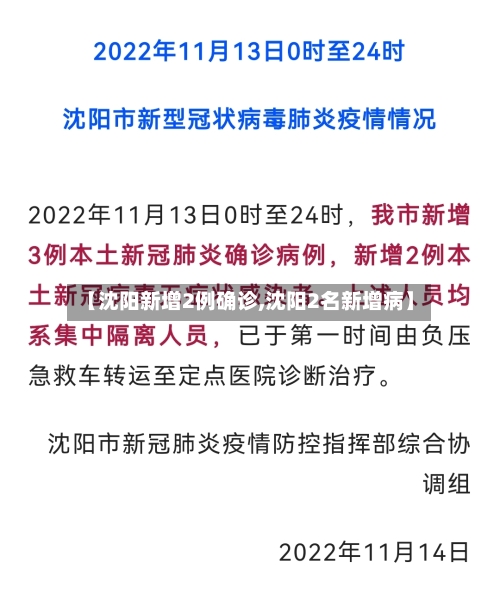 【沈阳新增2例确诊,沈阳2名新增病】