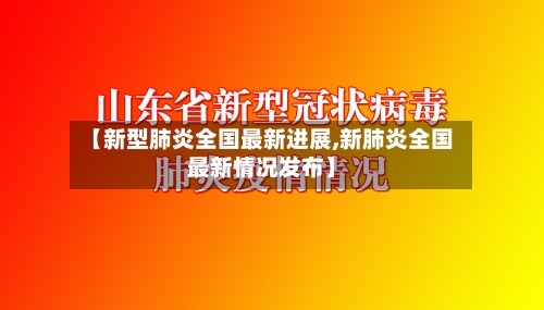 【新型肺炎全国最新进展,新肺炎全国最新情况发布】-第2张图片