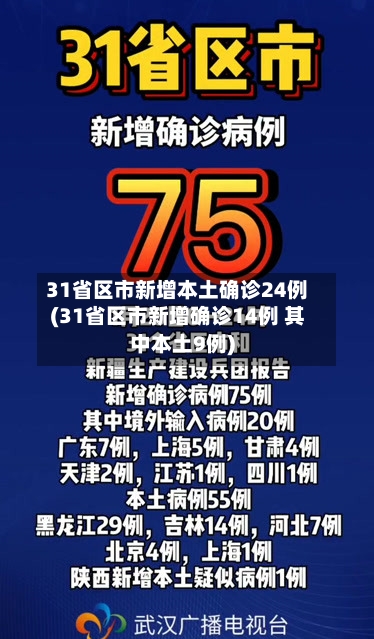 31省区市新增本土确诊24例(31省区市新增确诊14例 其中本土9例)