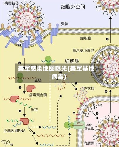 美军感染地图曝光(美军基地 病毒)