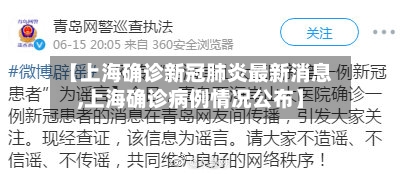 【上海确诊新冠肺炎最新消息,上海确诊病例情况公布】-第2张图片