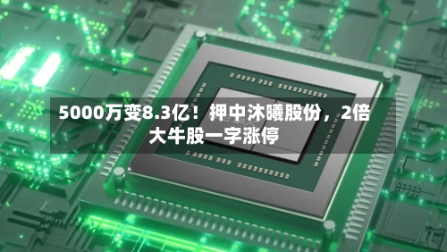 5000万变8.3亿！押中沐曦股份	，2倍大牛股一字涨停-第3张图片