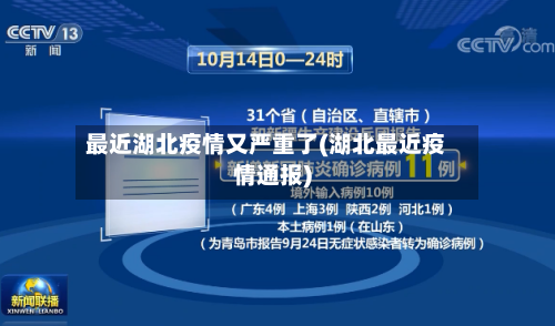 最近湖北疫情又严重了(湖北最近疫情通报)-第2张图片