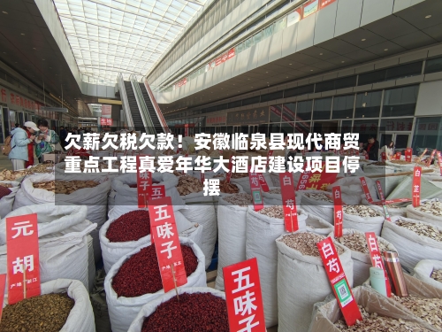 欠薪欠税欠款！安徽临泉县现代商贸重点工程真爱年华大酒店建设项目停摆-第2张图片