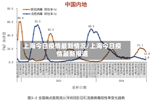 上海今日疫情最新情况/上海今日疫情最新报道-第2张图片