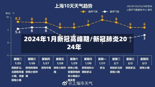2024年1月新冠高峰期/新冠肺炎2024年