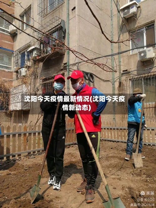 沈阳今天疫情最新情况(沈阳今天疫情新动态)-第2张图片